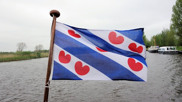Frisian flag